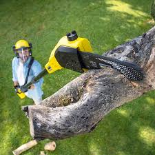  Farmington, MN Tree Removal and Landscaping Services Pros